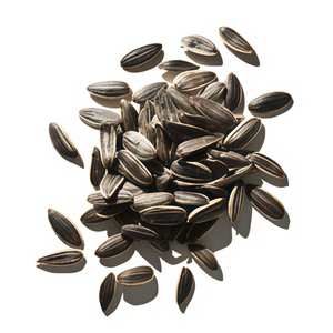 Proprietary Probiotic Blend